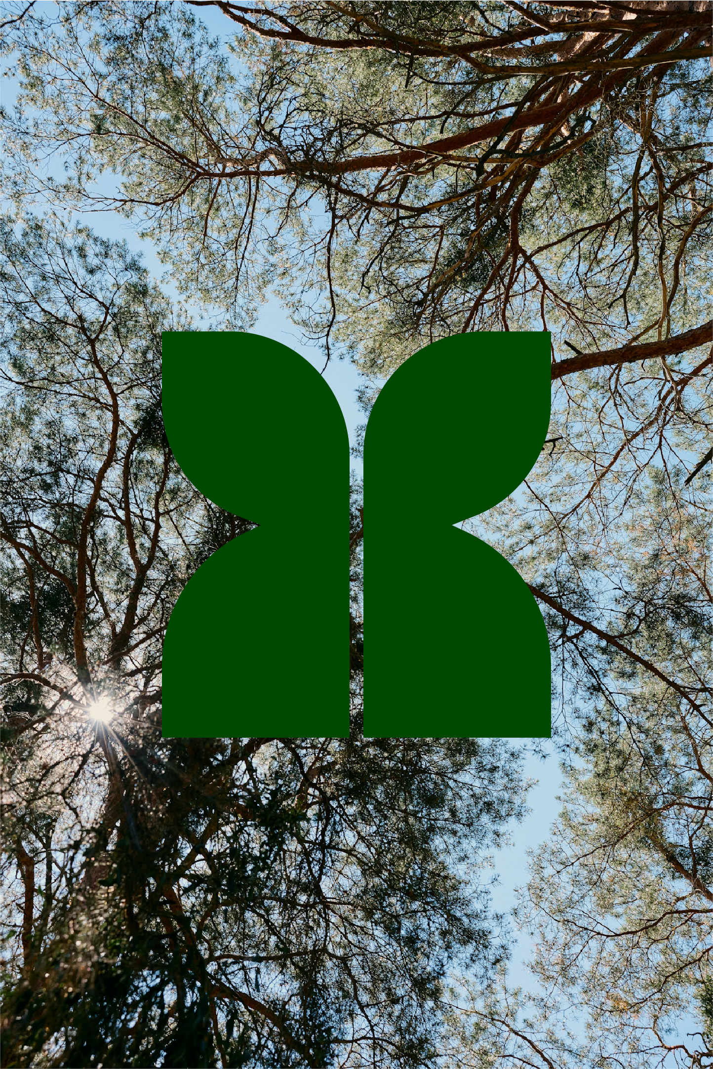 Rootz afbeelding - Donker groen_1